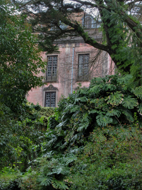 istock Abandoned pink building in the middle of a forest 1162216800