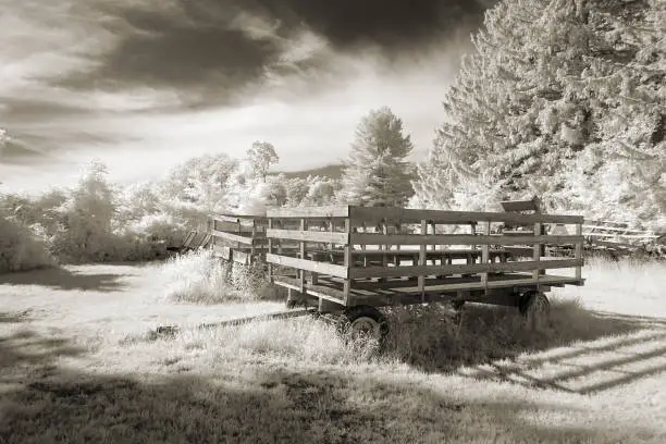 two old farm trailers imaged infrared