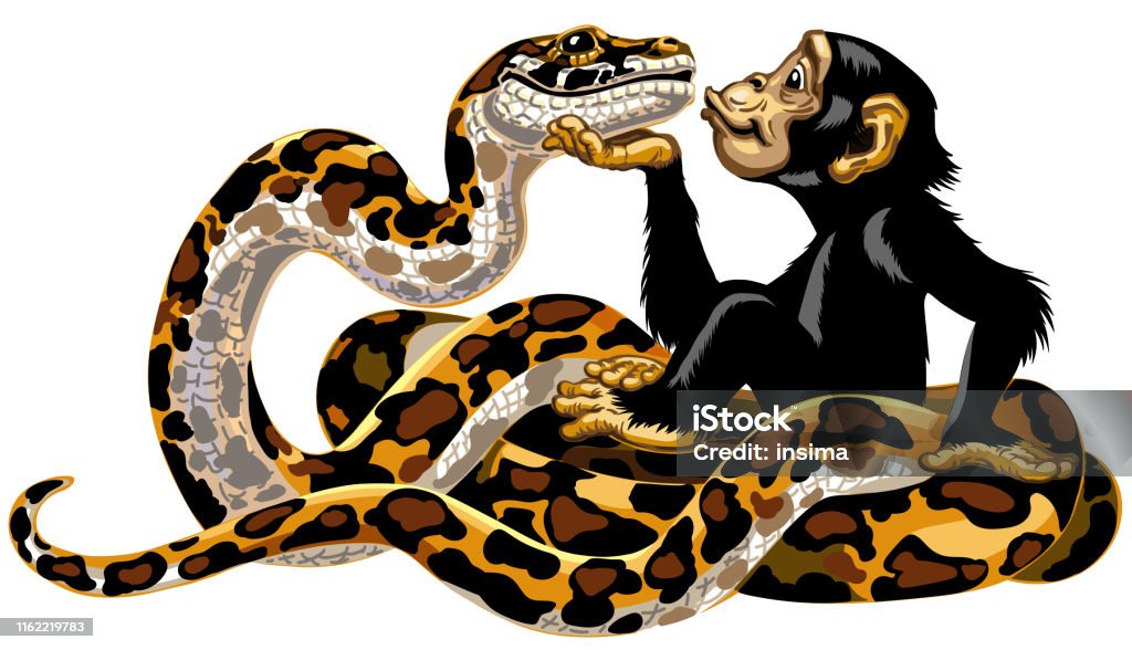 Cartoon Chimp With Python Stock Illustration - Download Image Now - Animal,  Africa, Animal Wildlife - iStock