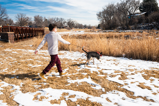 On a sunny winter day in Denver, Colorado a Hispanic boy walks his dog on a leash outdoors in a park.