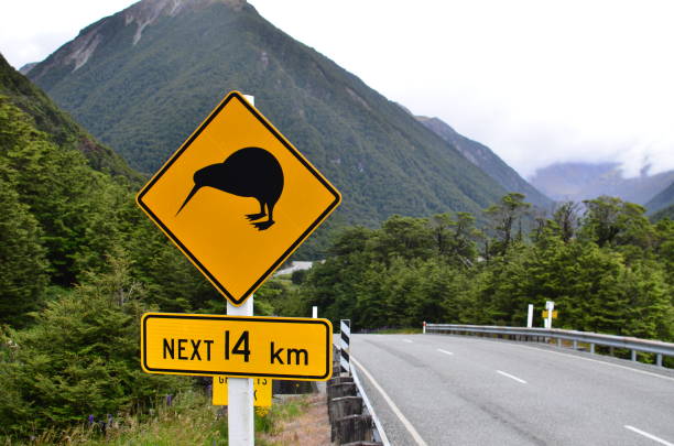 istock Road sign - kiwi 1162227261
