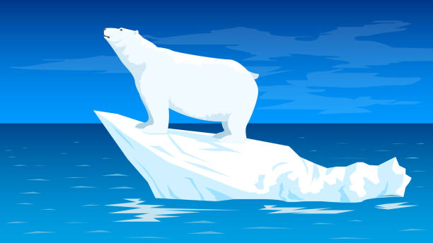 ilustraciones, imágenes clip art, dibujos animados e iconos de stock de oso polar en el iceberg - polar bear arctic global warming ice