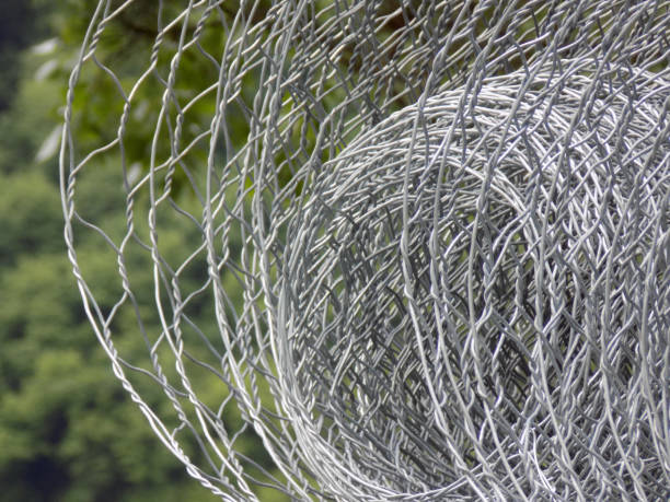 istock Roll of chicken wire in the forest 1162232342