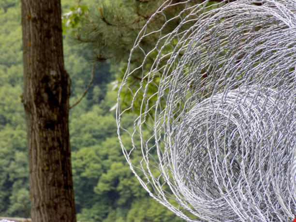 Roll of chicken wire in the forest