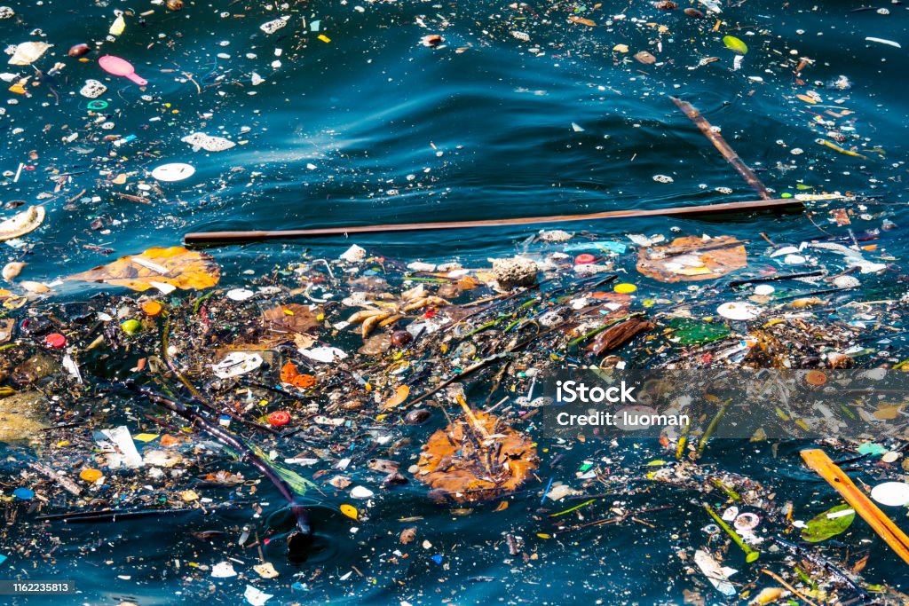 Water pollution Pieces fo wood floating Sea Stock Photo