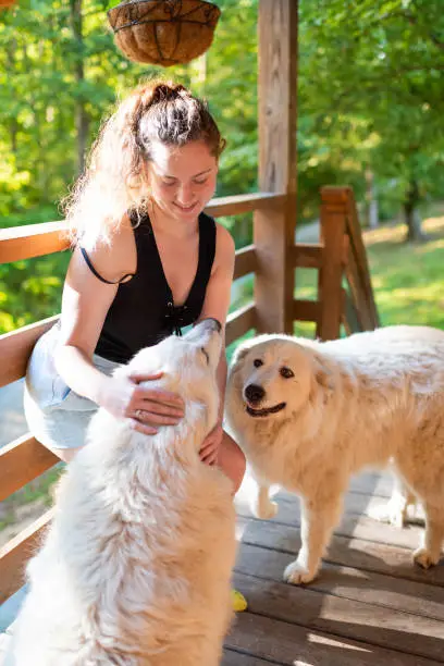 Young happy woman petting two white great pyrenees dogs outside at home porch of log cabin