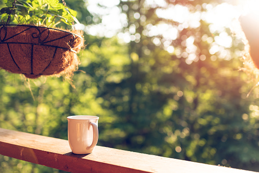 Hanging potted plant with bokeh background on porch of house with sunrise sun and coffee mug on wooden cabin cottage