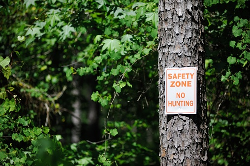 Safety Zone No Hunting sign posted on pine tree in forest