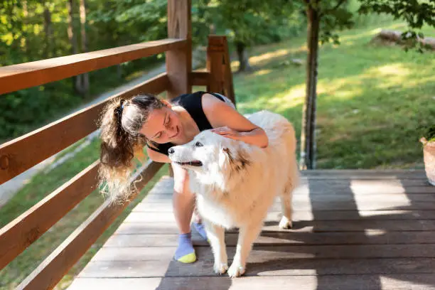 Young woman petting one happy white great pyrenees dogs outside at home porch of log cabin