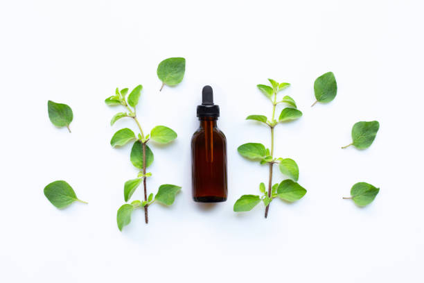 istock Essential oil with fresh oregano leaves on white background. 1162240622