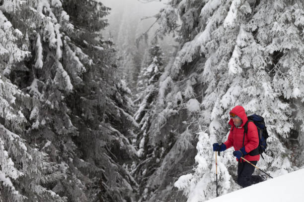 istock Hiker makes his way on snowy slope in snow-covered forest 1162241203