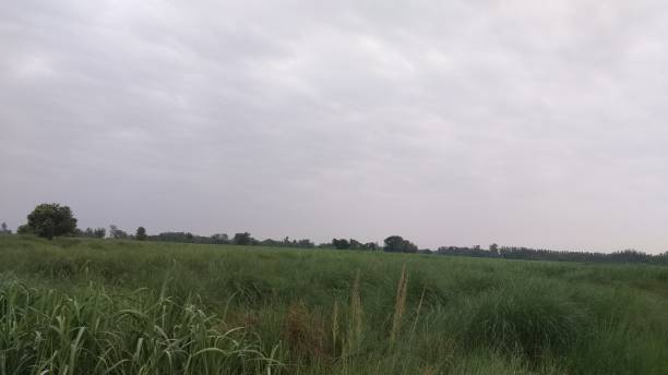 istock Beauty of Nature 1162241712