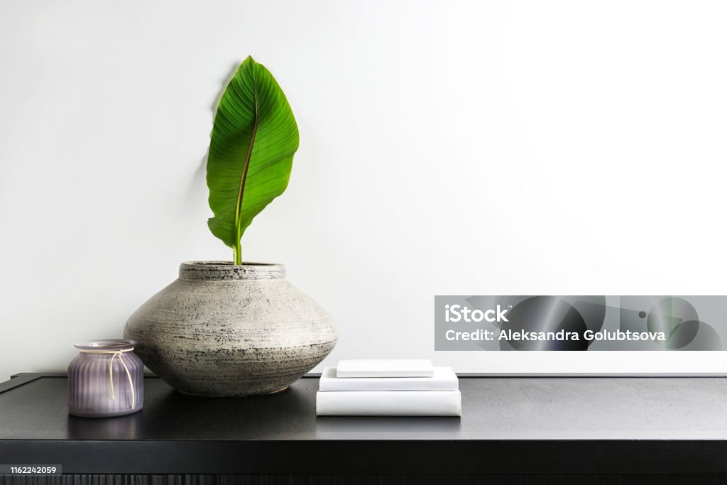 Interior Design Objects Stock Photo - Download Image Now - Botany ...