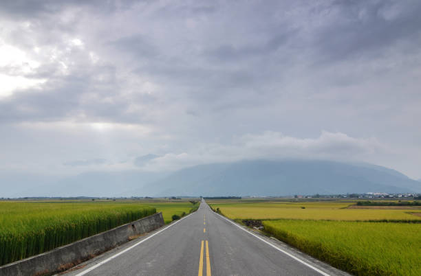 istock A straight road leading into the distance. 1162242898