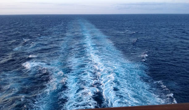 istock Sailing Across the Sea 1162243039