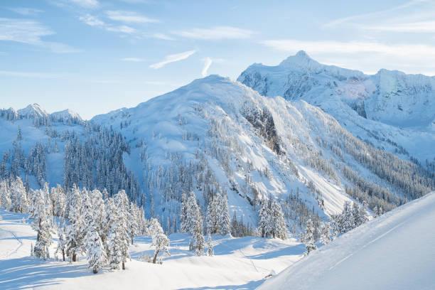 Winter snowshoeing Artist Point, WA