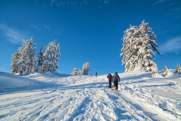 istock Backcountry Skiing, North Cascades 1162244680