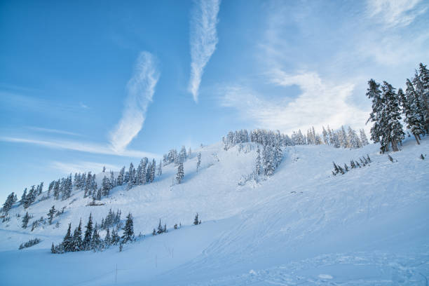 Winter Morning on Mt. Baker Wilderness