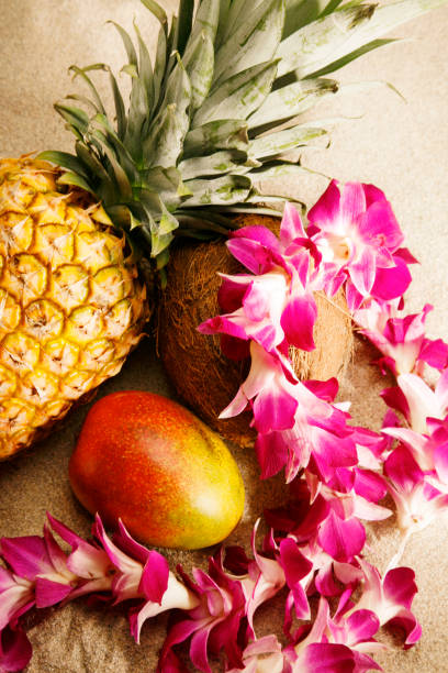 fruta tropical y flores ya en la playa de sandy island - coconut orchid flower hawaii islands fotografías e imágenes de stock