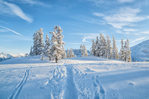istock Backcountry Skiing on Winter Wonderland 1162244808