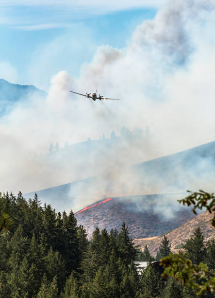 Airplane aircraft air tanker plane battling fighting wildland forest fire wildfire in Eastern Washington State. Smoke and flames engulf the landscape. Natural disasters. Airplane aircraft air tanker plane battling fighting wildland forest fire wildfire in Eastern Washington State. Smoke and flames engulf the landscape. Natural disasters. military tanker airplane photos stock pictures, royalty-free photos & images