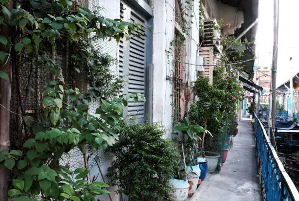 Nice close up facade of antique house at China town, Cho Lon, Viet nam on day, old home with wooden door and vines on white wall in vintage color