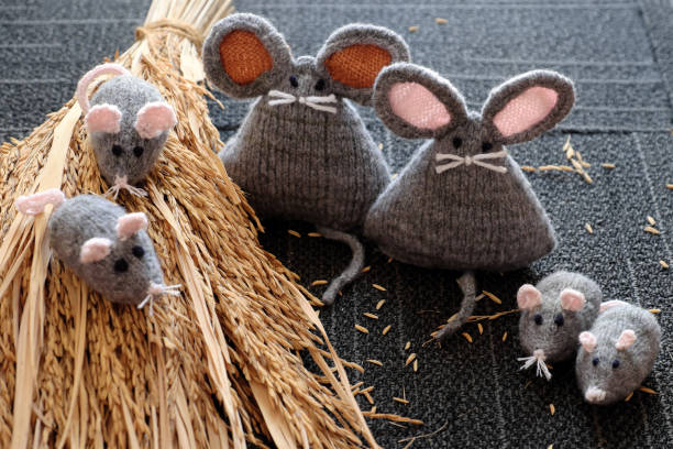 istock grey mouse on dry sheaf of rice plants with black background 1162248616