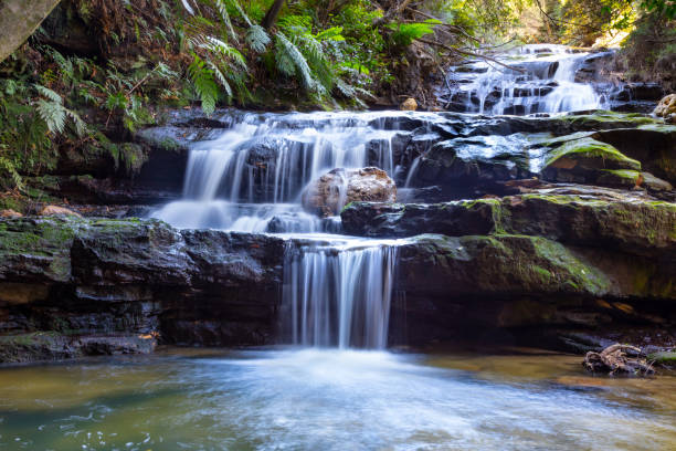 leura falls, blue mountains, australie - blue mountains national park photos et images de collection