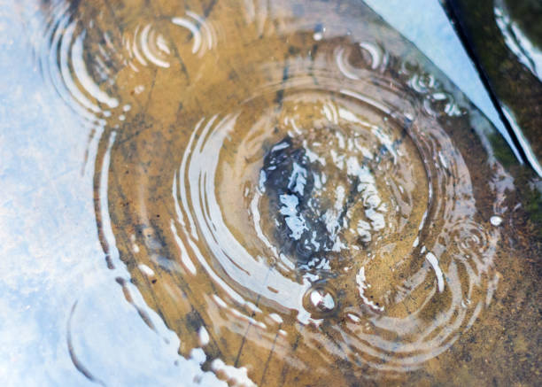 istock Ripples in the Surface of a Puddle on a Rainy Day. 1162254026