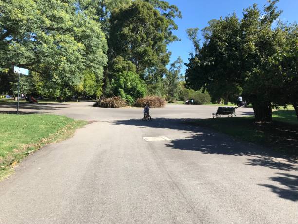 istock Boy in the Prado Park in Montevideo 1162255160