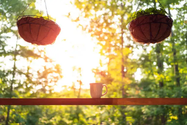 Hanging two potted plants in spring with bokeh background on porch of house with sunrise sun and coffee mug on wooden cabin cottage