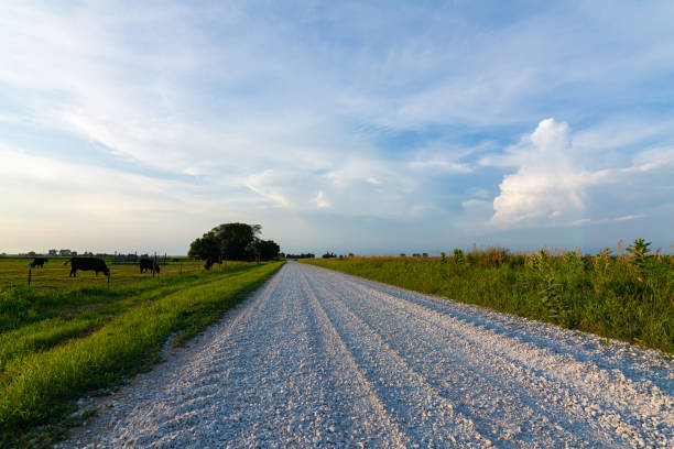 Landscape and ground road whit sculpture