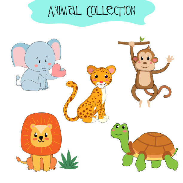 ilustraciones, imágenes clip art, dibujos animados e iconos de stock de conjunto de animales y aves aislados. elefante, jaguar, leopardo, tortuga, león, mono - kangaroo animal humor fun