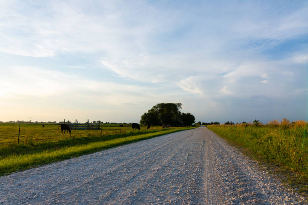 istock Gravel country road 1162257931