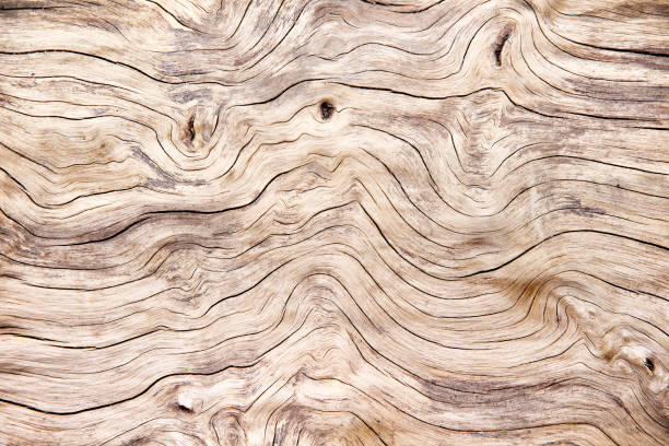 istock Beautiful old wood texture with  cracked in line horizontal shaped patterns for nature background 1162258600