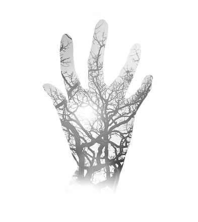 Multiple Exposure of human hand and oak tree branches