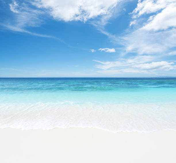 istock Tropical beach and seascape with blue sky background 1162259501