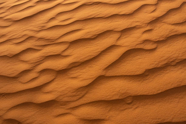 istock Beautiful sand dunes in the Sahara desert. 1162262555