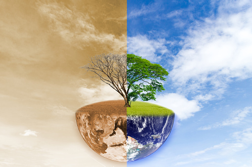 World change tree forest drought and forest refreshing of Elements of this image furnished by NASA.