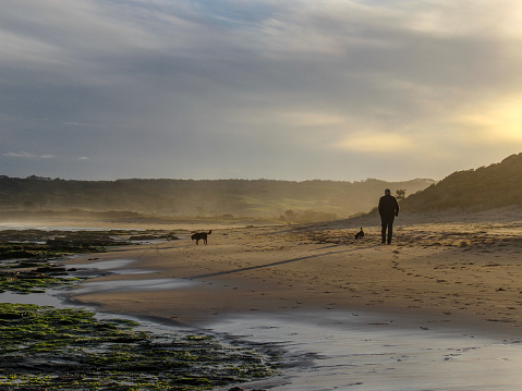 Man walking dog along Apollo Bay beach at sunset