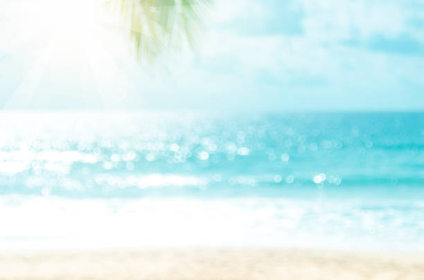 istock Blur beautiful nature green palm leaf on tropical beach with bokeh sun light wave abstract background. Copy space of summer vacation and business travel concept. 1162263178