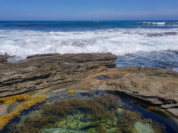A deep rockpool at Wild Dog Beach, near Apollo Bay