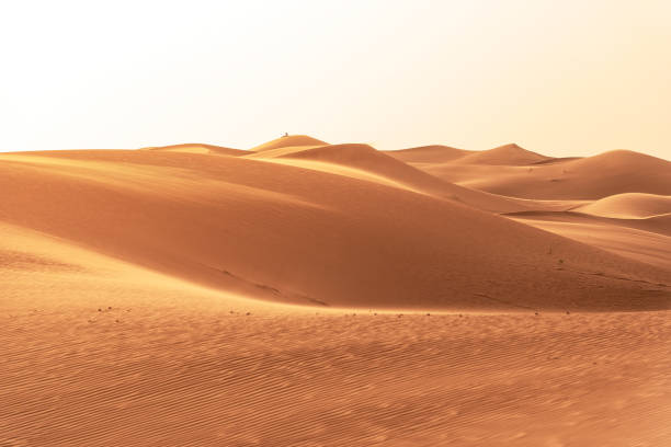 istock Beautiful sand dunes in the Sahara desert. 1162263197