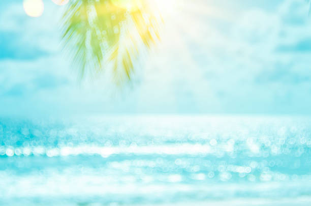 istock Blur beautiful nature green palm leaf on tropical beach with bokeh sun light wave abstract background. Copy space of summer vacation and business travel concept. 1162263225