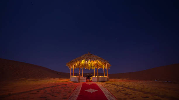 istock Beautiful sand dunes in the Sahara desert. 1162263354