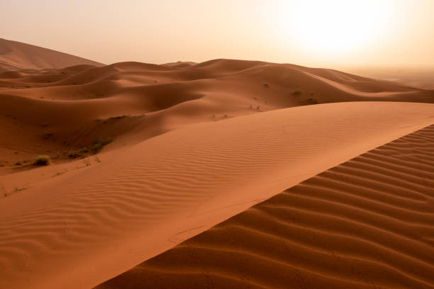 istock Beautiful sand dunes in the Sahara desert. 1162263511