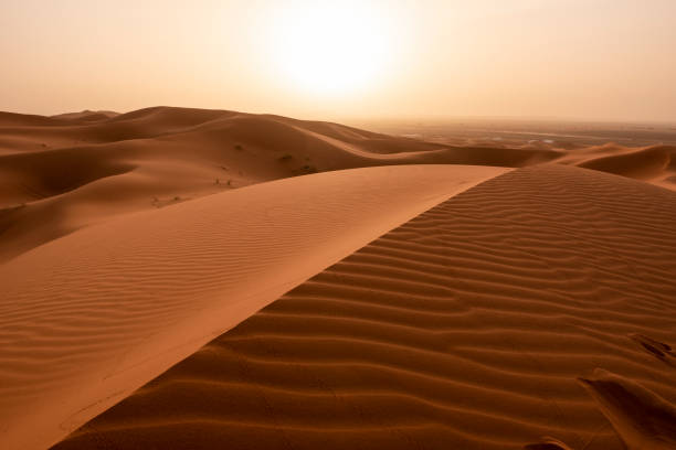 istock Beautiful sand dunes in the Sahara desert. 1162264662