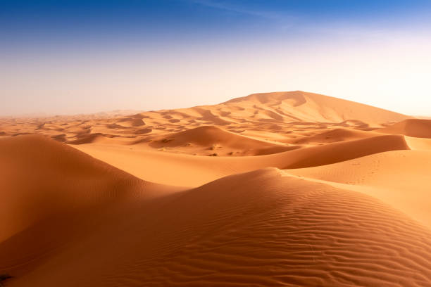 istock Beautiful sand dunes in the Sahara desert. 1162264674