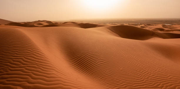 istock Beautiful sand dunes in the Sahara desert. 1162265332