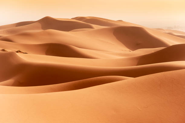 istock Beautiful sand dunes in the Sahara desert. 1162265418